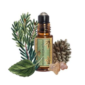 OILAND Inspiration mode