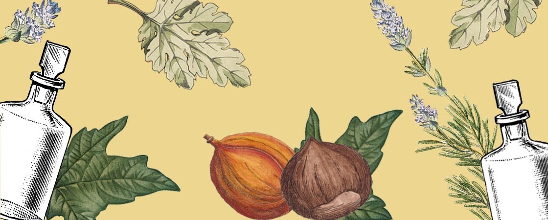 feature_image_5 feature_image_5